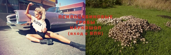 стафф Абинск
