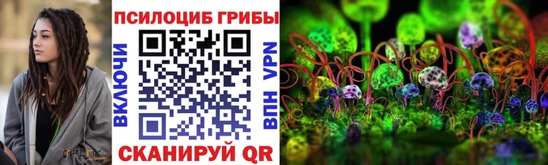 Галлюциногенные грибы MAGIC MUSHROOMS где можно купить наркотик Чухлома
